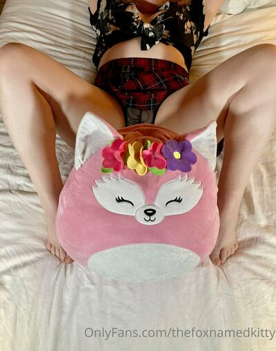 Thefoxnamedkitty