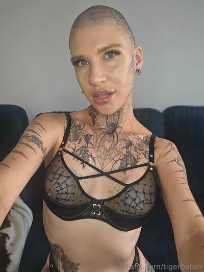 Tigerbabex