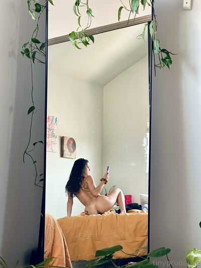 Tinyprudence