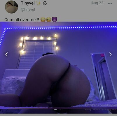 Tinyvel