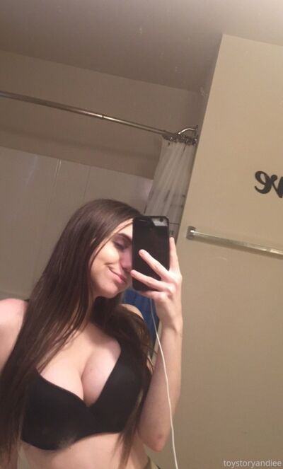Toystoryandiee