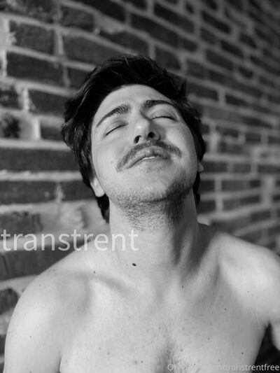 Transtrentfree