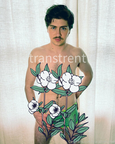 Transtrentfree