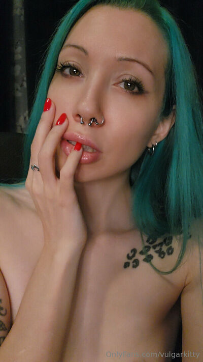 Vulgarkitty