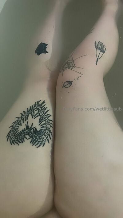 Wetlittlesub