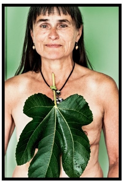 Кристиен Хеммерехтс