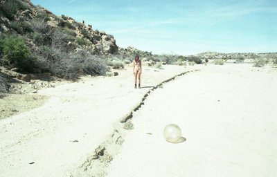 Оливия Норт