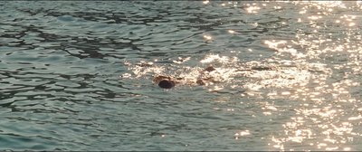 Криста Портной