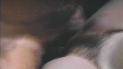 Лесли Уинстон