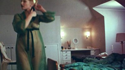 Даниель Вламинк