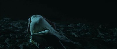 Светлана Д. Петкович