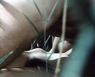 Дора Ситцани