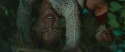 Стефани Шильдкнехт