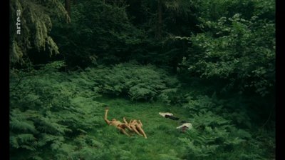 Кристин Паскаль