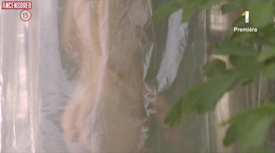 Вероника Зилкова