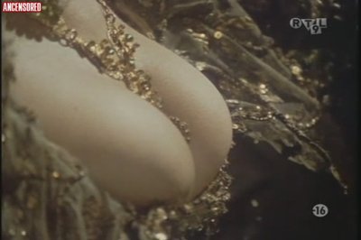 Мадлен Вангелл