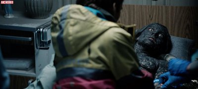 Ирис Таня Флигенринг