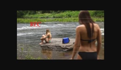 Элисон Уитни