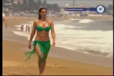 Анетт Мишель