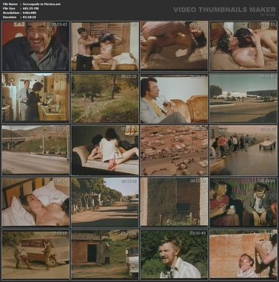 Синтия Торнелл