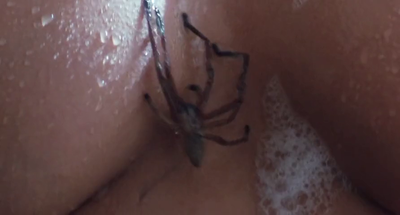 Кори Веллинз