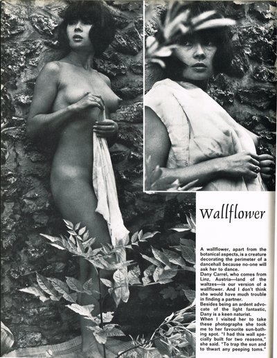 Дани Каррель