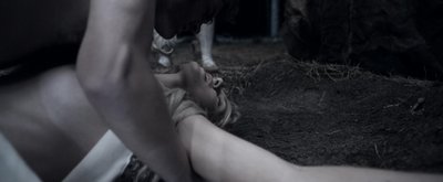 Джорджина Эндрюс