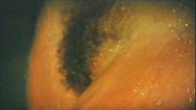 Кристин Де Луп