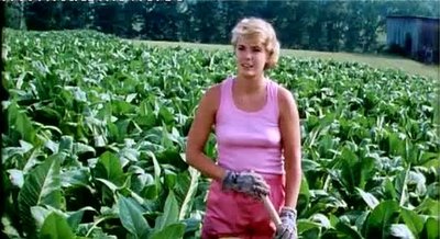 Лиз Уоррингтон