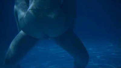 Метте Йепсен