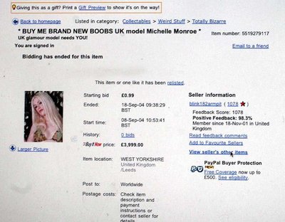 Мишель Монро