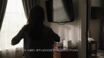 Минг-на Вэнь