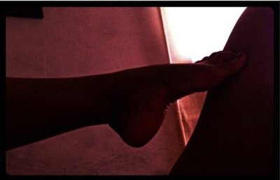 Ноэль Скаггс