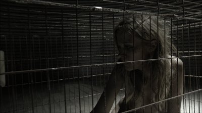 Пелл Джеймс