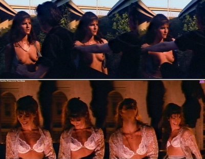 Санта Пресс