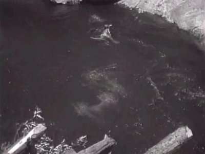 Ширли Миллс