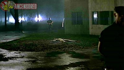 Лесли Стефансон