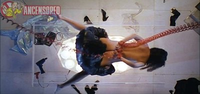 Хуэй-дань Хуэй