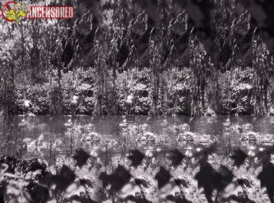 Джейн Уайатт