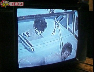 Саша Дарвин