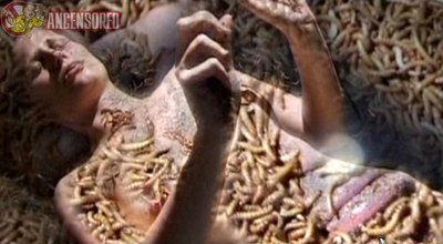 Мира Гиттнер