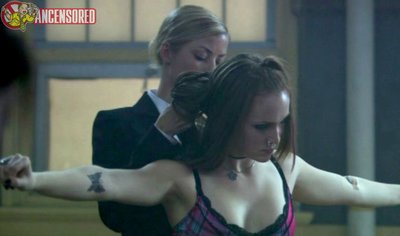 Терра Внеса