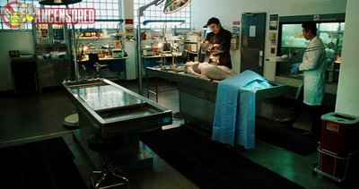 Джиллиан Дифуско