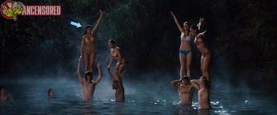 Линдси Шоневайс